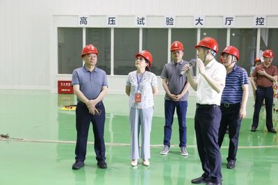 走項(xiàng)目、進(jìn)工地、察實(shí)情——區(qū)人大常委會(huì)視察全區(qū)重點(diǎn)項(xiàng)目建設(shè)工作，關(guān)注智能家電產(chǎn)業(yè)新動(dòng)能